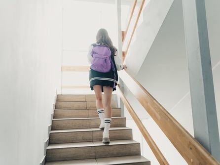 Škola mezi tradicí a potřebami dnešní doby